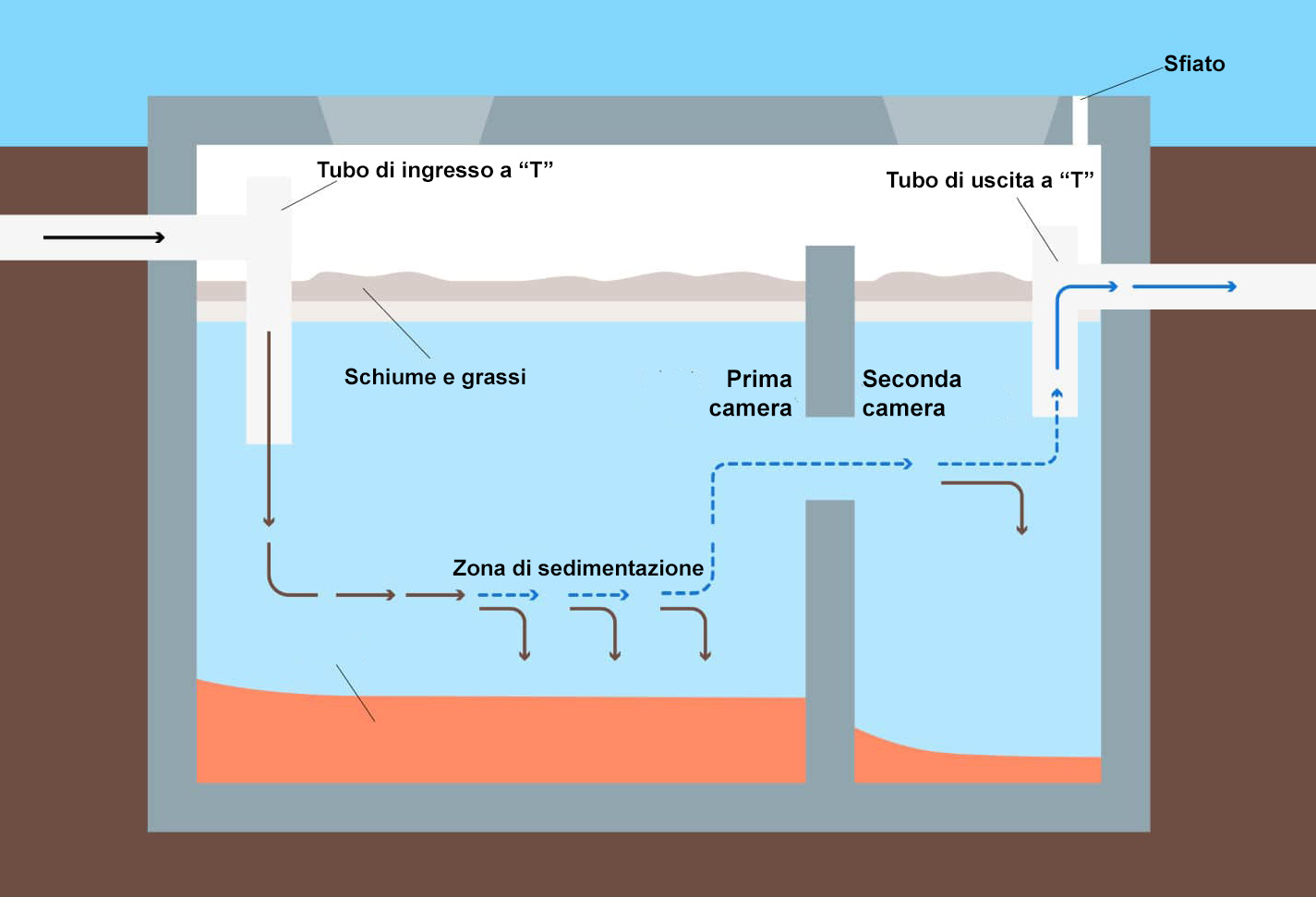 Schema fossa settica